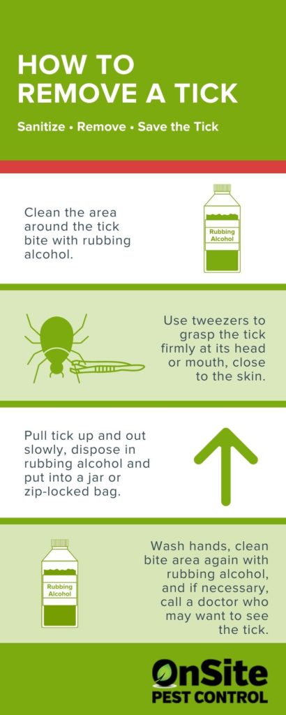 Tick removal guide - OnSite Pest Control